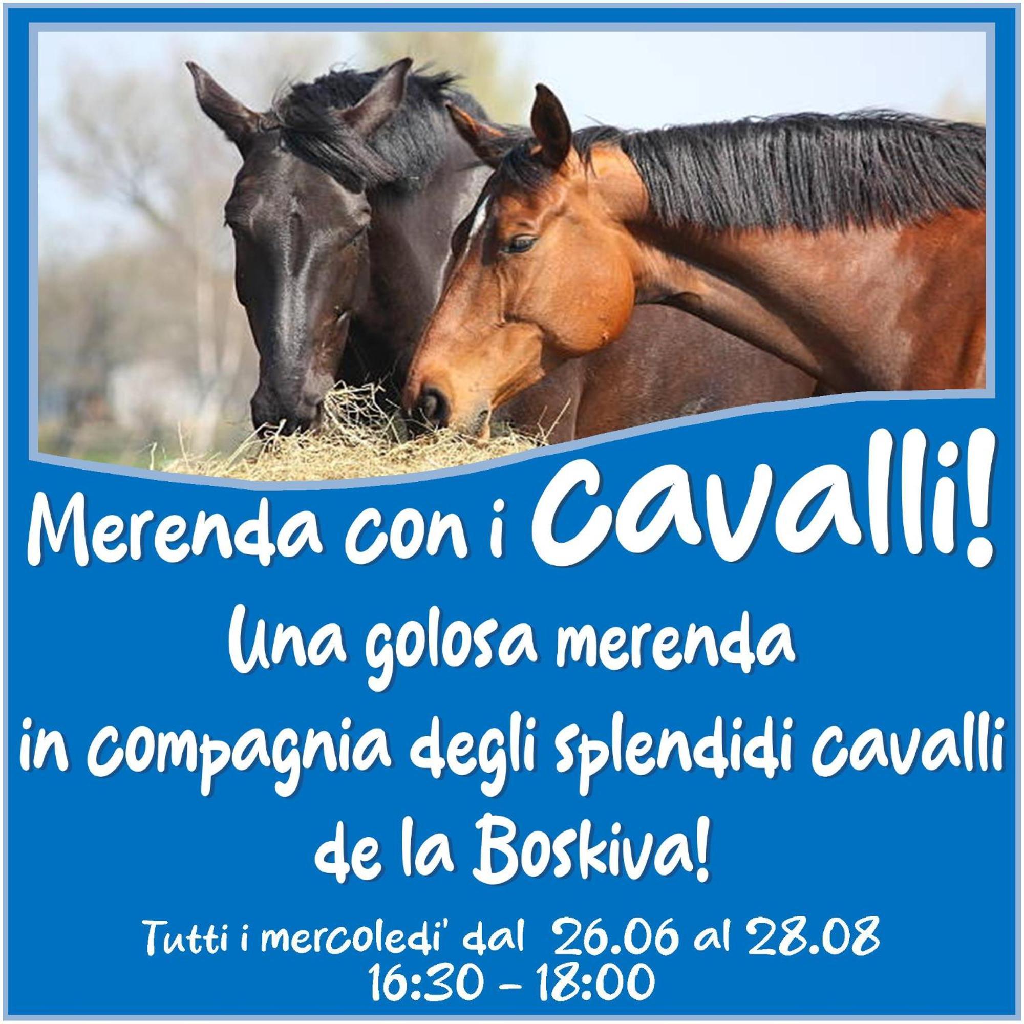 Presanella